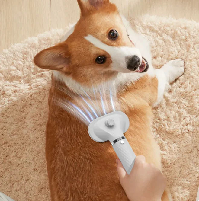 Electric Pet Groomer